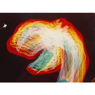 1971 Neon Serpent Richard Bray For Sale
