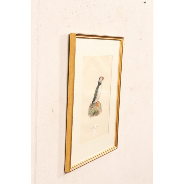Early 20th Century Swedish Framed Puffin Lithograph, C. 1920 For Sale - Image 9 of 11