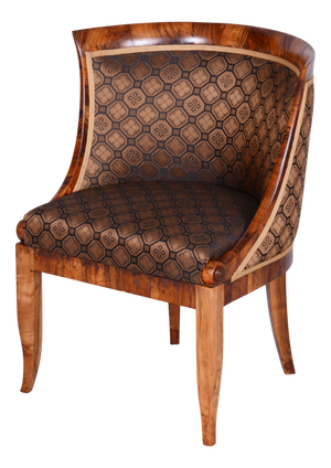 Biedermeier Walnut Armchair, Vienna, Austria, 1820s