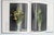 Navy Blue 1990s First Edition French-Language Bouquets Insolites, Floral Design Inspiration For Sale - Image 8 of 13