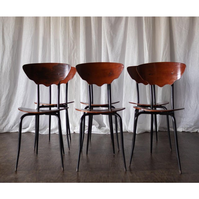 Mid 20th Century Set of 6 Iconic Mid 20th Century Bentwood Dining Chairs For Sale - Image 5 of 17