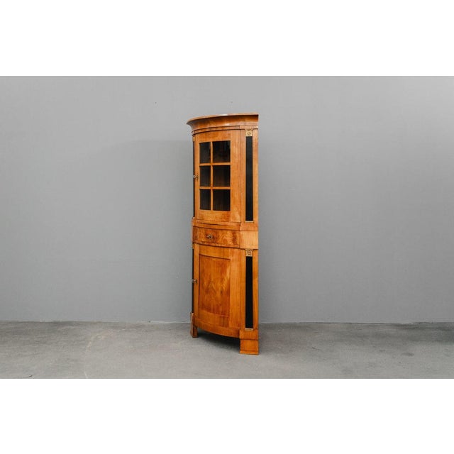 19th Century Biedermeier Corner Display Cabinet For Sale - Image 4 of 18