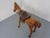 Large Wooden Horse with Leather Saddle, 1900 For Sale - Image 14 of 18