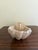19th Century Italian Marble Shell Font From a Catholic Church For Sale - Image 10 of 12