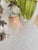 Metal Hollywood Regency Tole 6 Light Palm Leaf Crystal Chandelier For Sale - Image 7 of 11
