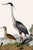 Not Yet Made - Made To Order Great Heron & Roseate Spoonbill Diptych, Vintage Art Print Reproduction, 40" X 60" For Sale - Image 5 of 12