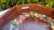 Painted Wooden Tray, 1950s-1970s For Sale - Image 4 of 9