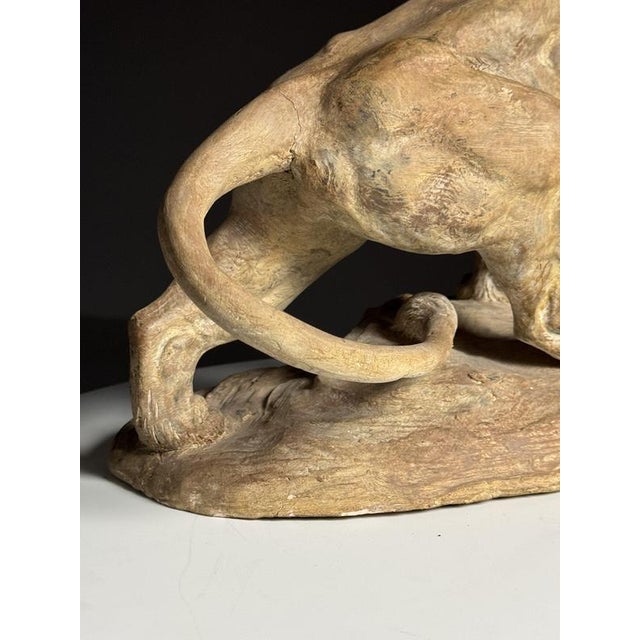 Armand Fagotto, Lion, Terracotta For Sale - Image 14 of 18