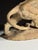 Armand Fagotto, Lion, Terracotta For Sale - Image 14 of 18