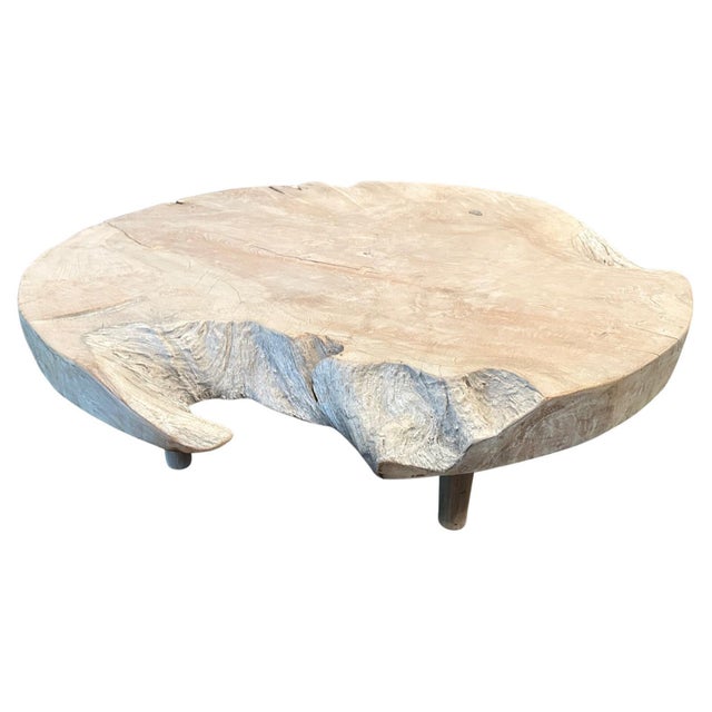 Ivory Andrianna Shamaris Impressive Organic Round Teak Wood Coffee Table For Sale - Image 8 of 18