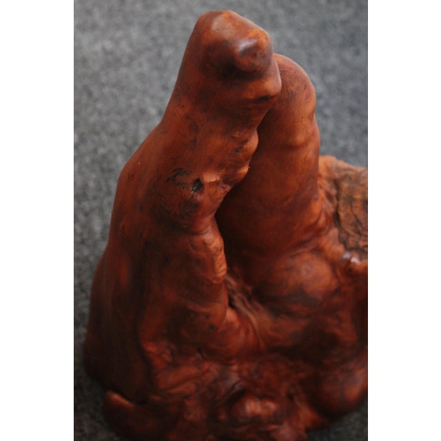 Sculptural Driftwood and Brass Floor Lamp For Sale - Image 10 of 13