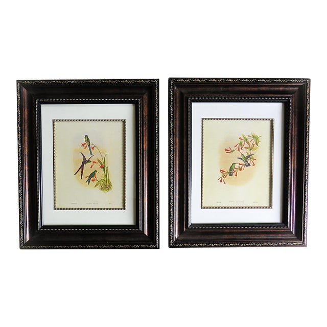 Pair of John Gould Humming Bird Lithographs Prints 1st Edition Framed For Sale