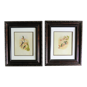 Pair of John Gould Humming Bird Lithographs Prints 1st Edition Framed