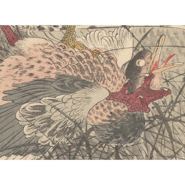 Imao Keinen, Eurasian Goshawk, 1892, Print For Sale - Image 9 of 18