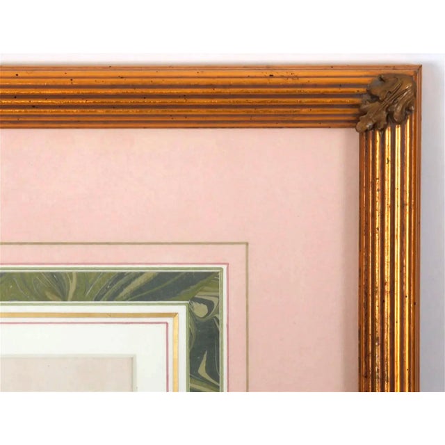 Early 19th Century English Botanical Watercolor of Tulips in Reeded Giltwood Frame For Sale - Image 4 of 5
