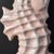 Gonder Pottery Hollywood Regency Tall Sculptural Ceramic Pink Seahorse Vase For Sale - Image 4 of 5