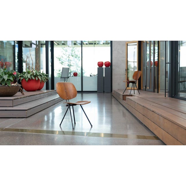 Set of S88 Folding Chairs by Osvaldo Borsani for Tecno, Italy For Sale - Image 15 of 18