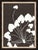 Contemporary Chocolate Florals by Susan Hable For Sale - Image 3 of 4