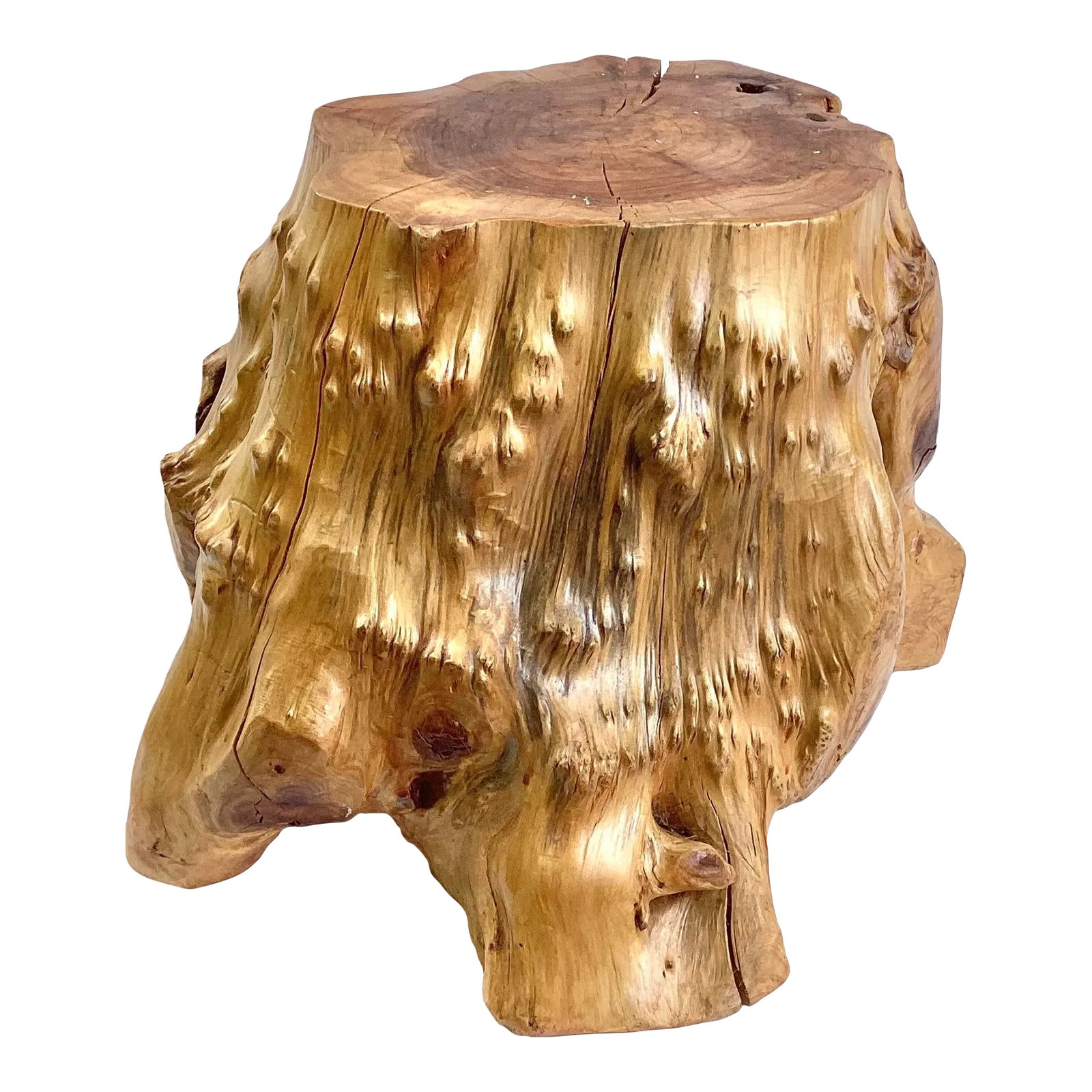 1980s Vintage Cabin Tree Root Trunk Stool | Chairish