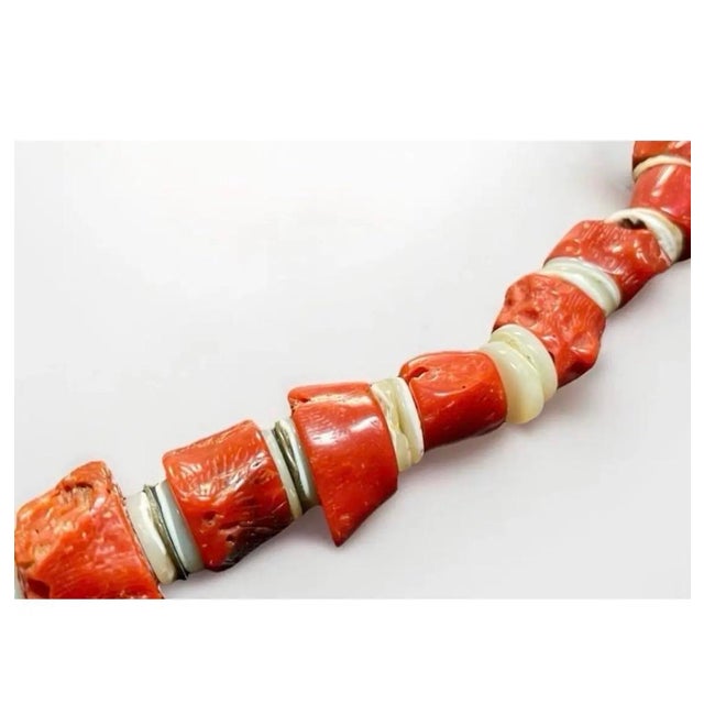 Native American Art Early 20th Century Large Heishi Shell Necklace. For Sale - Image 4 of 4