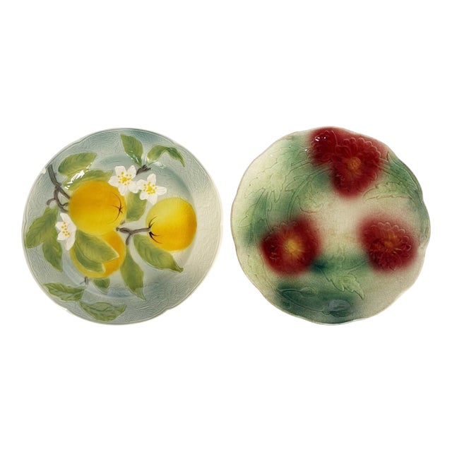 Majolica Plates, France, 20th Century, Set of 2 For Sale