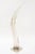 Vintage Arched Gradient Lucite and Silver Plate Sculpture by Catherine Noll, France, 1970's For Sale - Image 11 of 11