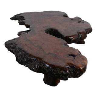 Mid-Century Rootwood Slab Coffee Table, 1960s For Sale