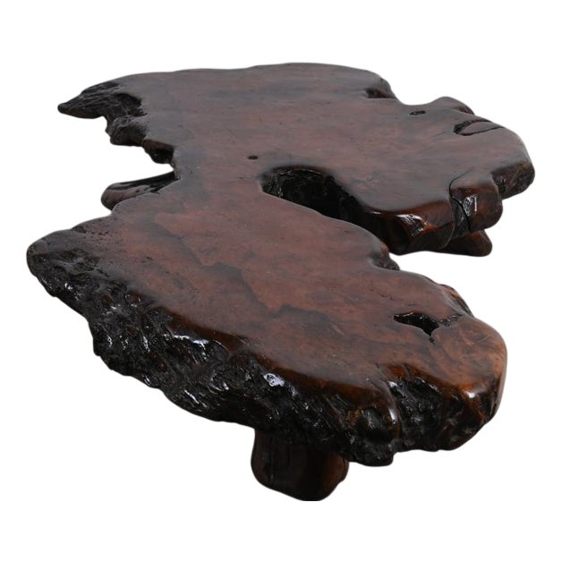 Mid-Century Rootwood Slab Coffee Table, 1960s For Sale