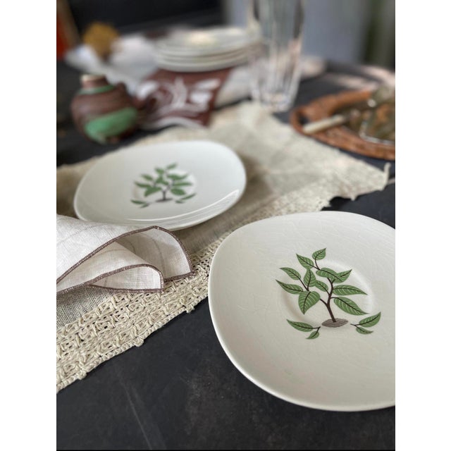 Mid-Century Modern Mid 19th Century Mid Cetury Modern Taylor Smith Taylor Saucer Plates in Coffee Tree Pattern - Set of Seven (7) For Sale - Image 3 of 9