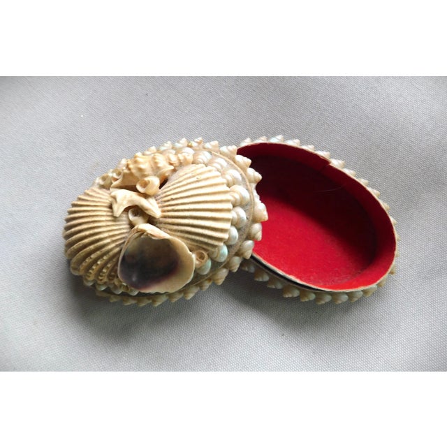Sand Antique Victorian Shell Wwi, Navy Sailor Valentine Gift, Oval Boudoir Jewelry Ring Box For Sale - Image 8 of 9