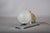 1940s Art Deco Animal-Figure Table Lamp with Frosted Glass Globe, 1940s For Sale - Image 5 of 11