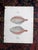 This set of three (3) hand colored lithographs depict fish found in the United States. Printed in the USA c.1880. Printed...