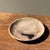 Beige Circular Bowl in Beige Petrified Wood with Black Spots, 1980s For Sale - Image 8 of 9