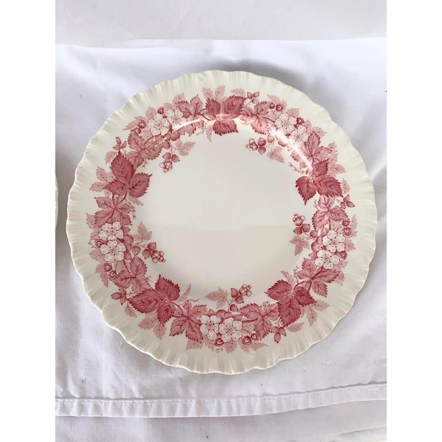 Shabby Chic Vintage Wedgwood Bramble of Etruria Pink Salad Plates-a Pair For Sale - Image 3 of 9