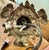 Meyda Art Nouveau Tiffany Pond Lily Accent Lamp For Sale - Image 4 of 12