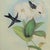 Pair of Framed John Gould Hummingbird Botanical Prints in Gold Frames For Sale - Image 4 of 8