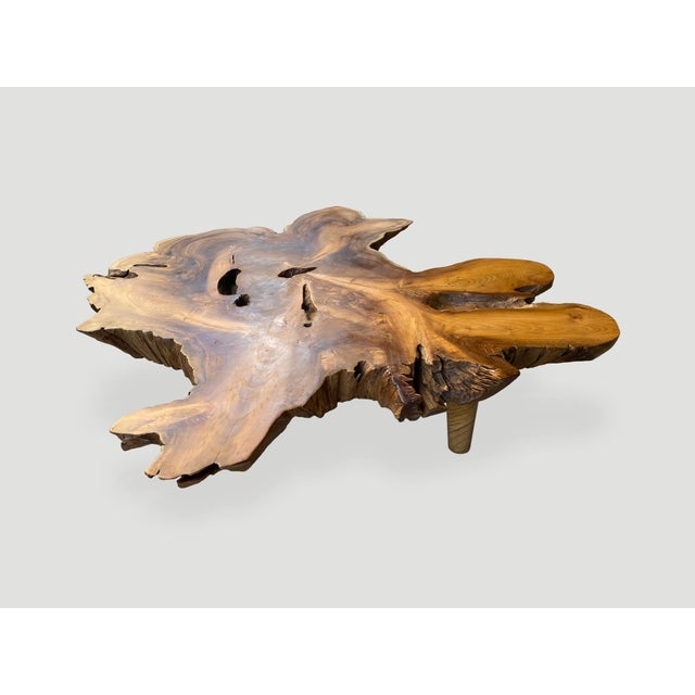 2010s Andrianna Shamaris Amorphous Mid Century Style Coffee Table For Sale - Image 5 of 6