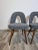 Dining Chairs by Antonin Suman, Set of 4 For Sale - Image 3 of 10