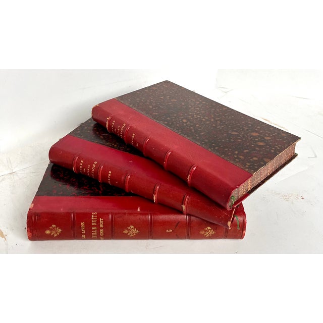 Antique French Red Leather Bound Books - Set of 3 For Sale - Image 9 of 18