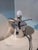 Small Porcino Table Lamp for Azucena, 1990s For Sale - Image 10 of 18