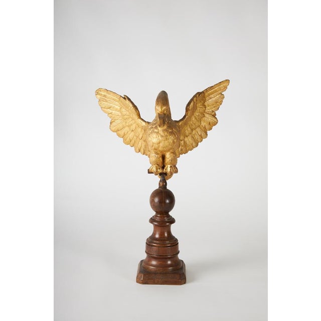 A magnificent carved and gilded wooden eagle with a turned walnut base. Made in italy. Date: 1800s. Dimensions: eagle: l...