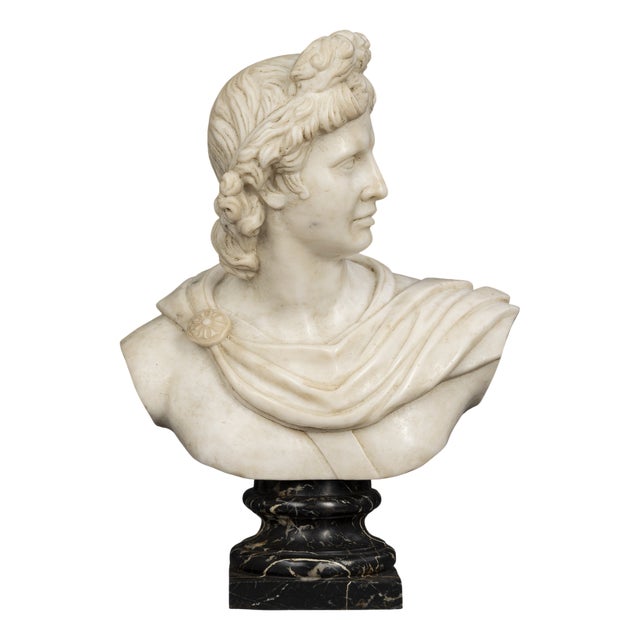 Marble Bust of Apollo De Belvedere For Sale