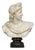Marble Bust of Apollo De Belvedere For Sale