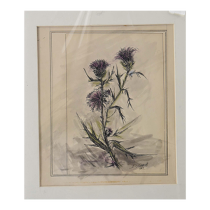 1980s Purple Thistles in Bloom Illustration