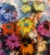 1950s Belle Golinko, Mid Century Jewish Expressionist Oil Painting Floral Vibrant Colorful Flowers For Sale - Image 5 of 9