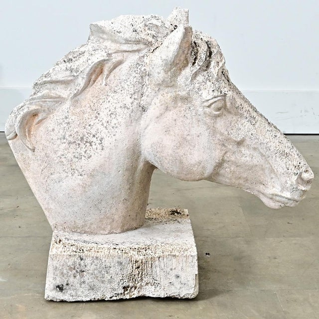 White Early 20th Century English Equestrian Bust of a Horse's Head For Sale - Image 8 of 10