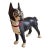 Antique National Foundry Cast Iron Boston Terrier Dog Doorstop Left Facing #149 C. 1920s For Sale