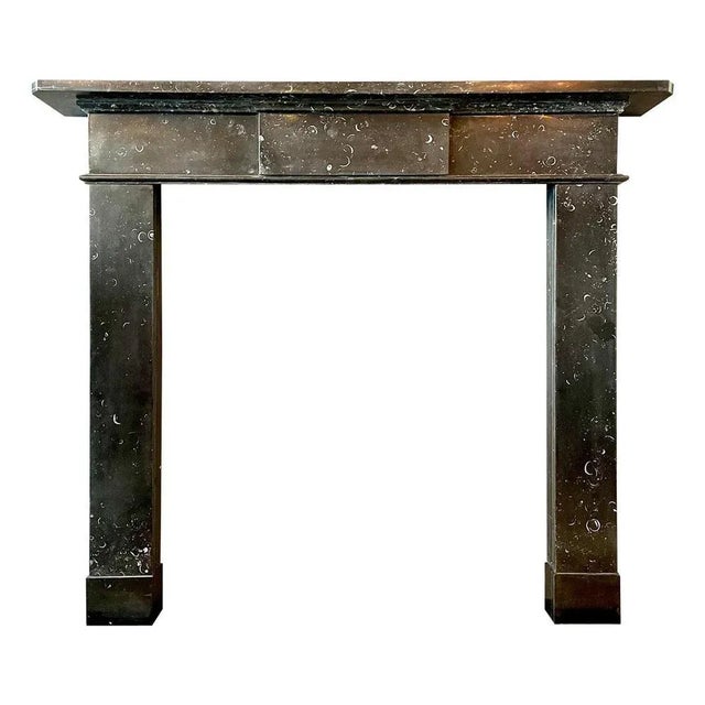Irish George III Fireplace Mantel in Kilkenny Marble, 1790 For Sale - Image 6 of 6