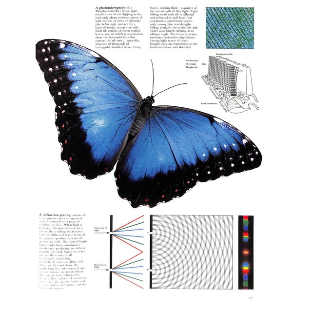 White "Color" Book 1980 Varley, Helen For Sale - Image 8 of 12