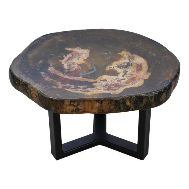 Petrified Wood Coffee Table by Xyleia Petrified Wood For Sale